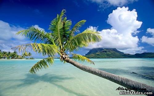 Desktop Wallpaper Nature [30]