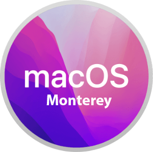 macOS Monterey 12.2 (21D49) [ISO образ]