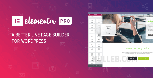 Elementor PRO v3.31.2 – WordPress Page Builder [Nulled]